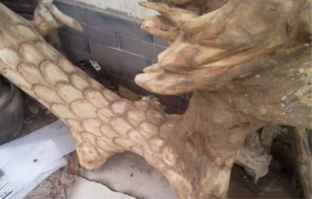 白手起家暴利小生意加盟,创业行业冷门但赚钱见效