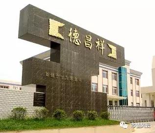 嘉应制药集团有限公司,嘉应制药主业