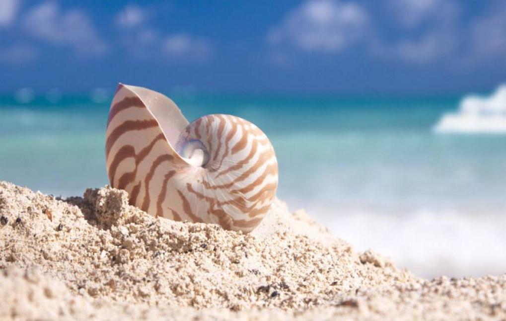 受到委屈励志美文,面对困难的美文