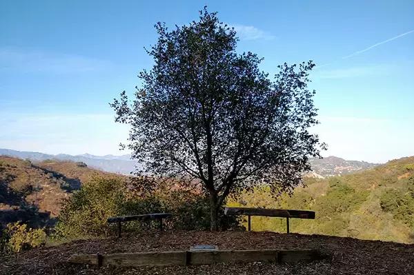 四月减肥正当时,4月份怎么减肥快