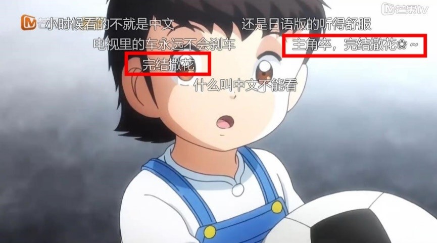 大空翼妈妈叫什么,足球小将大空翼的妈妈和罗伯特