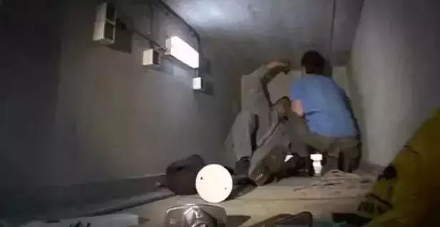 被奉为神明合集,bbc神级纪录片life第02集