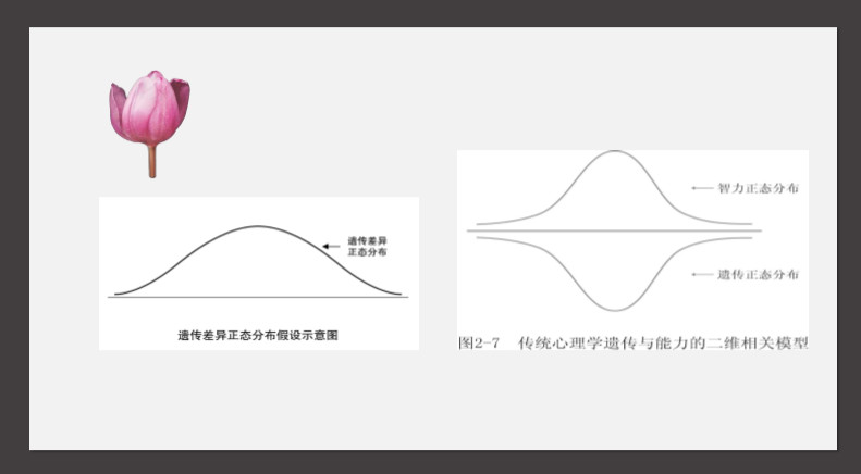 程跃博士金色摇篮,程跃博士简历