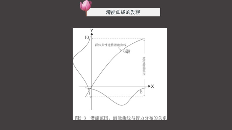程跃博士金色摇篮,程跃博士简历