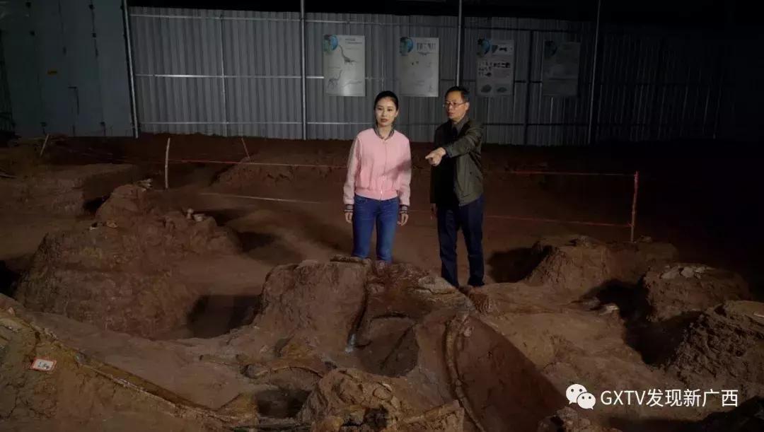 1亿年前的恐龙时代,1亿年前的恐龙