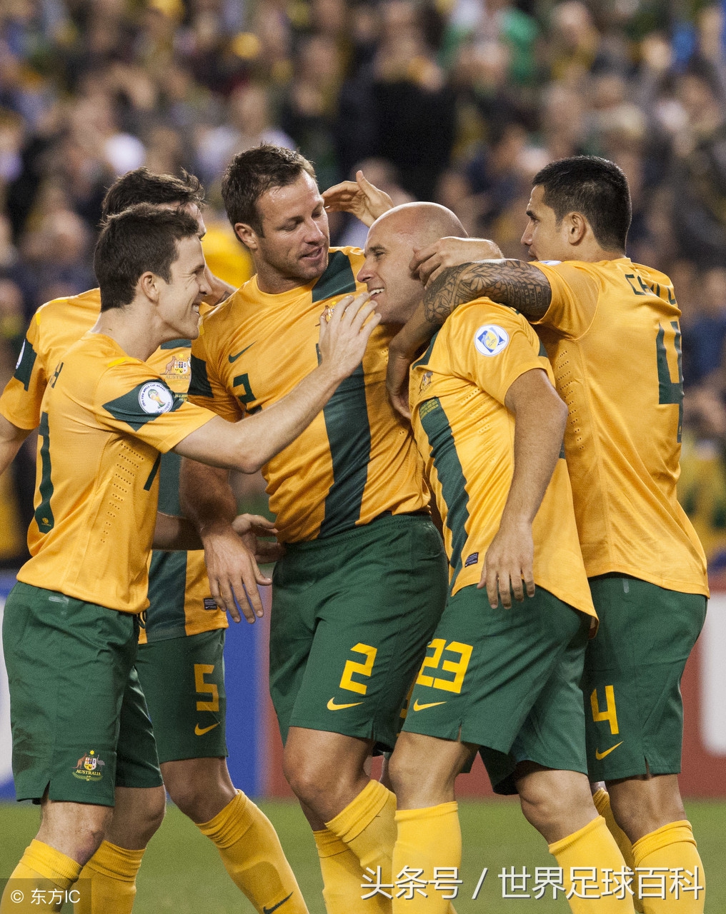 奔向莫斯科：世界杯32强之“袋鼠军团”澳大利亚