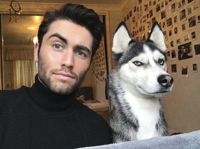 哈士奇喜欢拆家为什么还有人喜欢,哈士奇为什么喜欢拆家