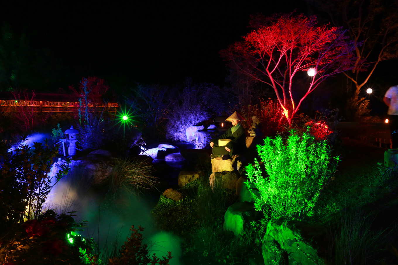 三月的拈花湾樱花烂漫,烟花三月桃花