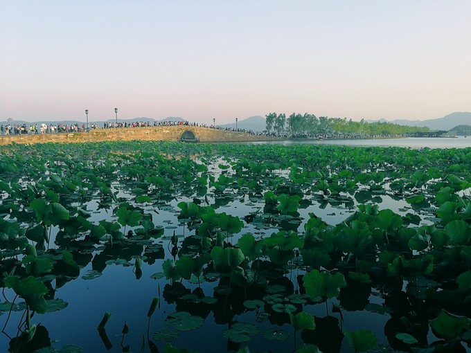 九溪虽小你却没用心体验过，别有一方风味