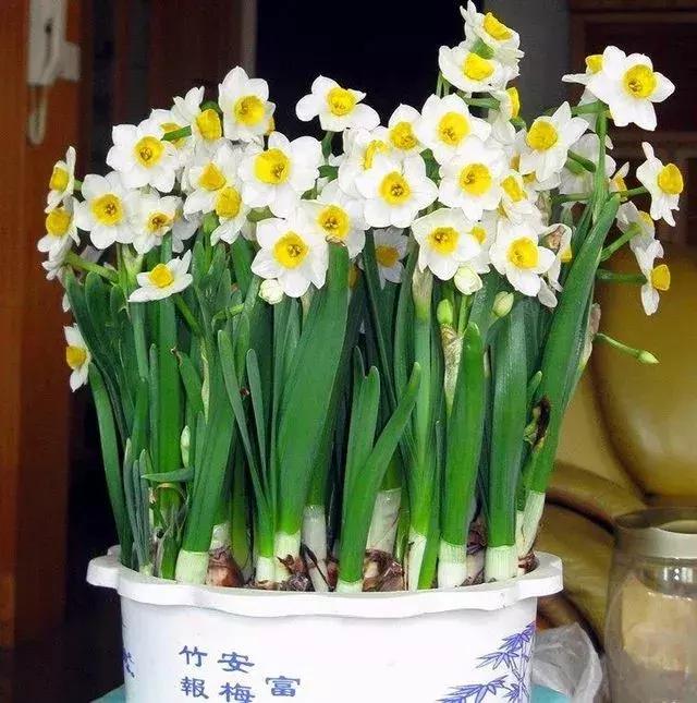 小孩手掌肿胀半夜疼严重,孩子有一只手背肿了