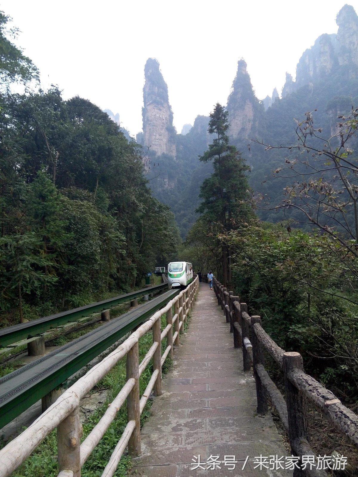 山东到张家界凤凰五日游攻略图文,佛山去张家界旅游攻略路线推荐图