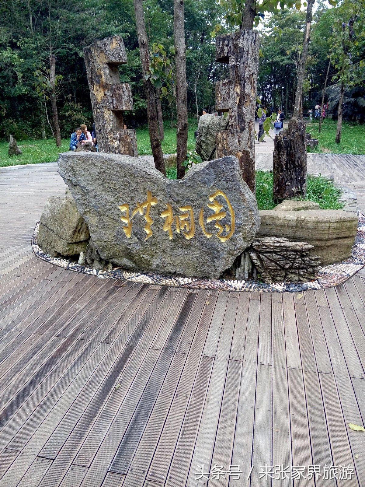 山东到张家界凤凰五日游攻略图文,佛山去张家界旅游攻略路线推荐图