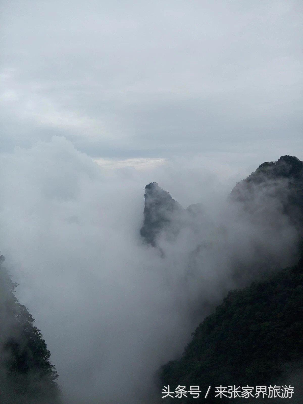 山东到张家界凤凰五日游攻略图文,佛山去张家界旅游攻略路线推荐图