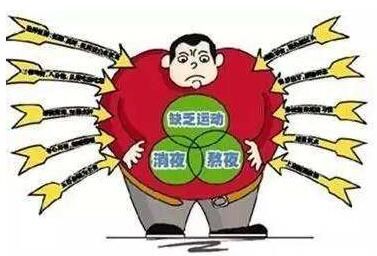 越忙身体越胖是什么原因,越忙越胖怎么办