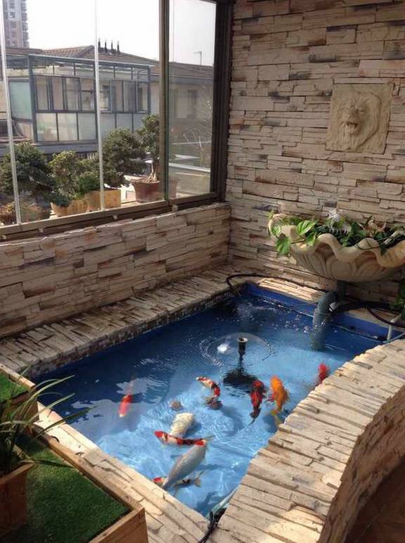 怎样养绿萝才能茂盛视频,屋内绿萝怎么养比较茂盛