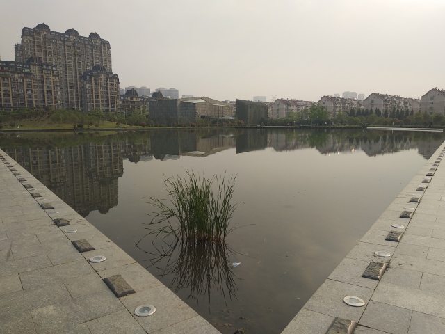 看房日记推荐,看房记二手房