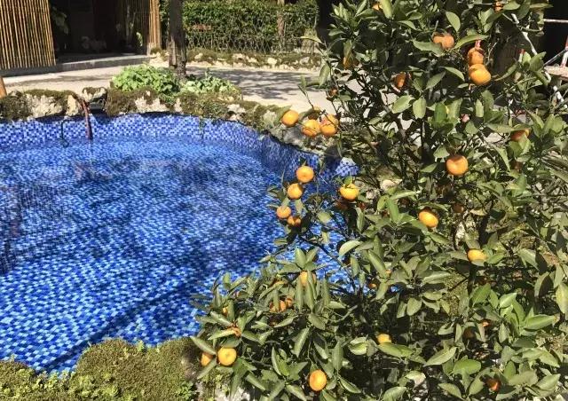 飞两千多公里,得到一座奇幻山林,一个温暖的家,一群有趣的人