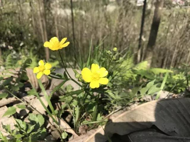飞两千多公里,得到一座奇幻山林,一个温暖的家,一群有趣的人