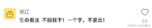 网易农业部养猪是真的吗？平头哥王兴不裁员你信吗？