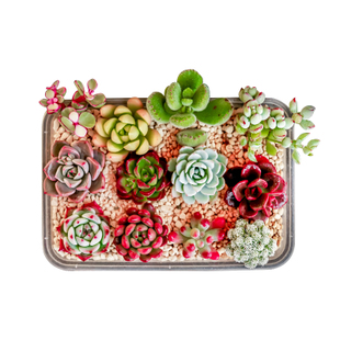 2019优惠券推荐,4月好货推荐