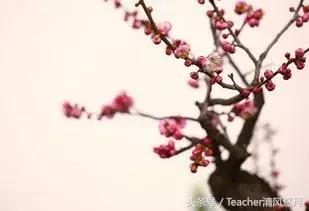 出自古代诗词的成语,成语诗句基础知识