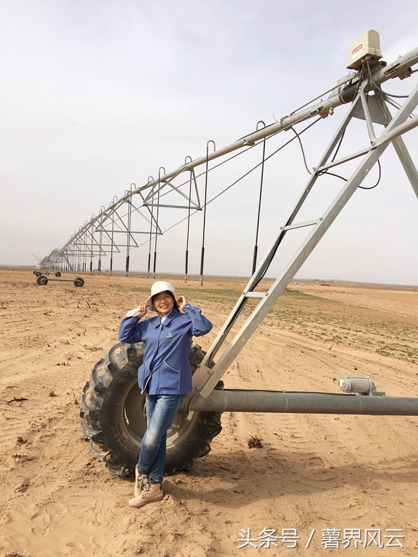 “格瑞得杯”征文·种薯销售女皇是怎样炼成的？