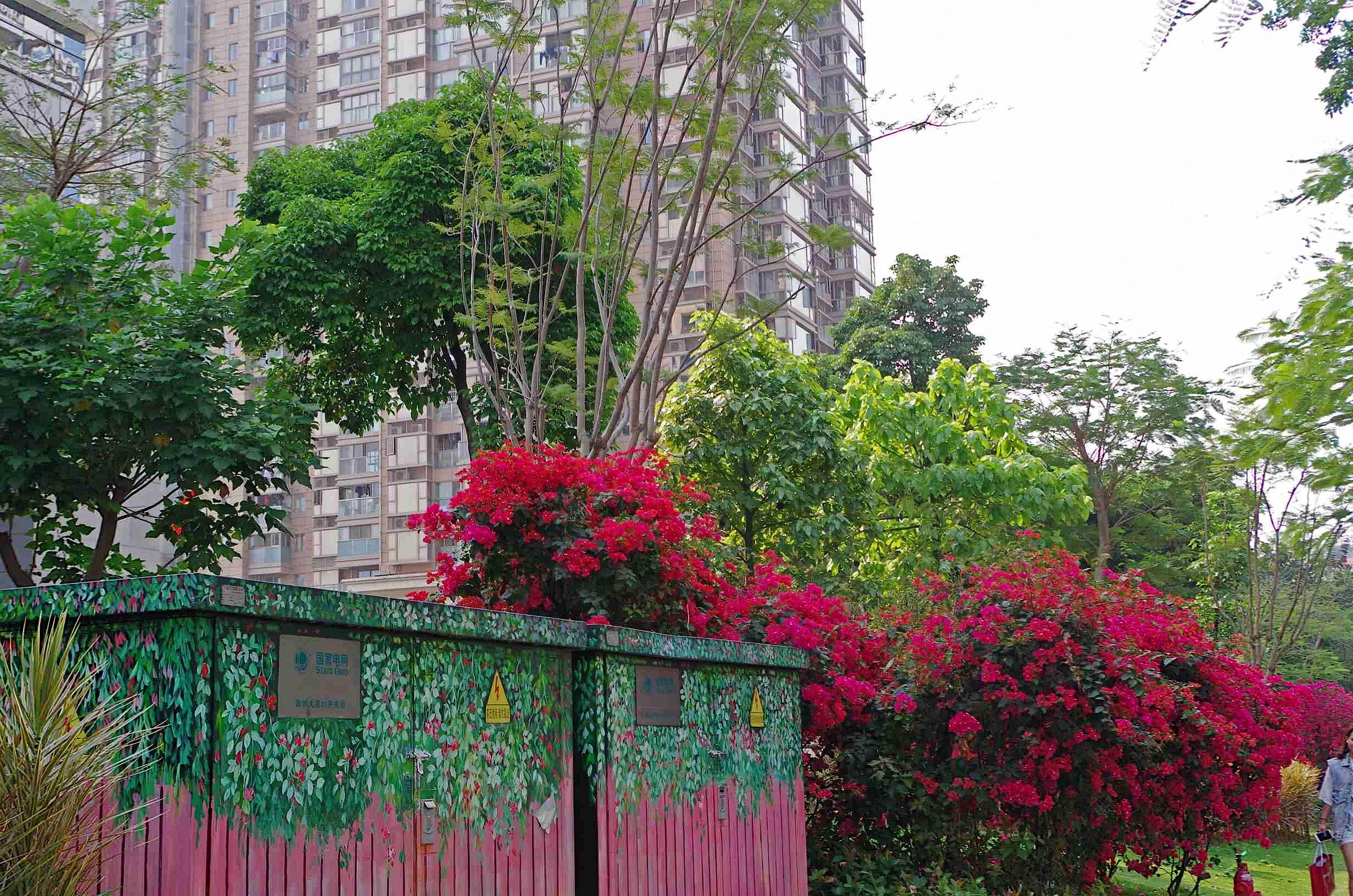 宾得k30图片,宾得k30样片