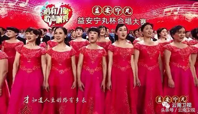 益安宁丸2019,益安宁丸杯第二届云南