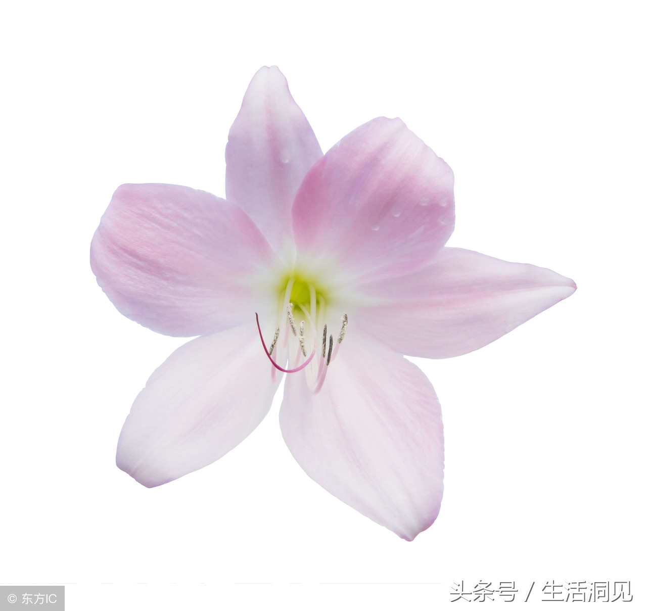 早上五点出生的人命运,五点生的男孩命运