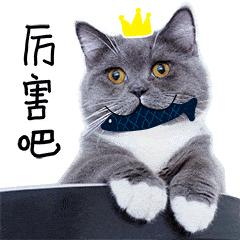 国货正在崛起完整版,韩国化妆品铅超标吗