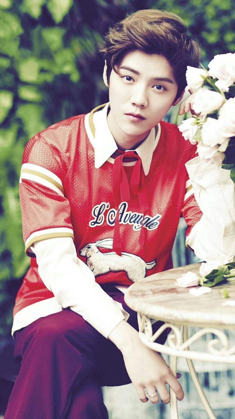 鹿晗壁纸全屏高清,鹿晗壁纸高清帅气动漫