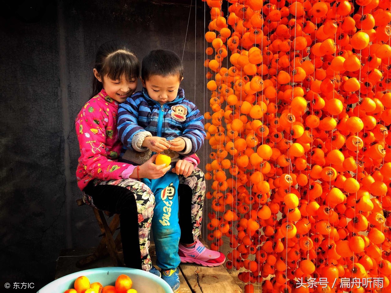 柿子红色的小山村,柿林村简介