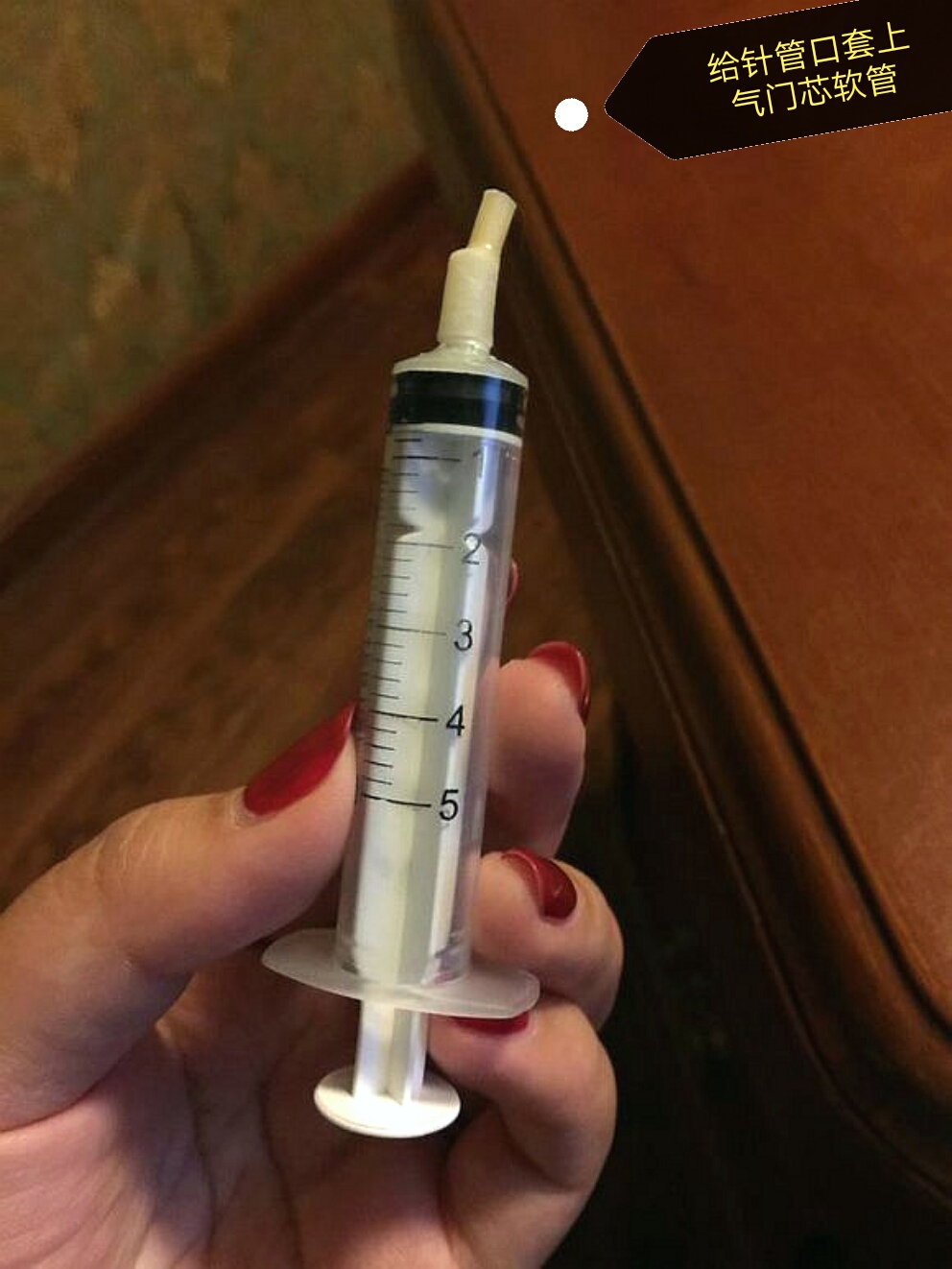 龙猫给自己的宝宝喂奶,龙猫妈妈给宝宝们喂奶