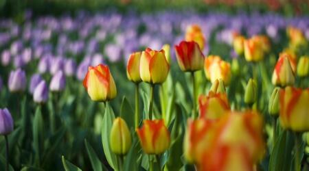 2019医药界的大事件,医疗快讯最新消息