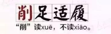 小学生必背成语500个及造句,小学语文必背成语及解析