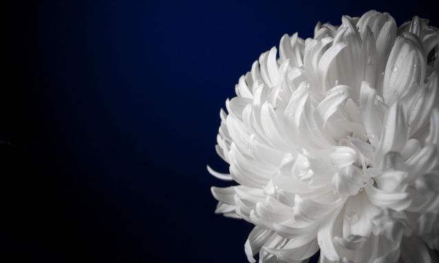 吸毒会导致抑郁症吗,吸毒是否容易得抑郁症