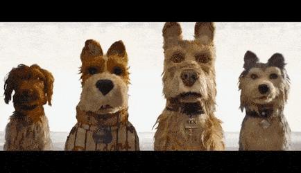 观影避雷针,观影避雷