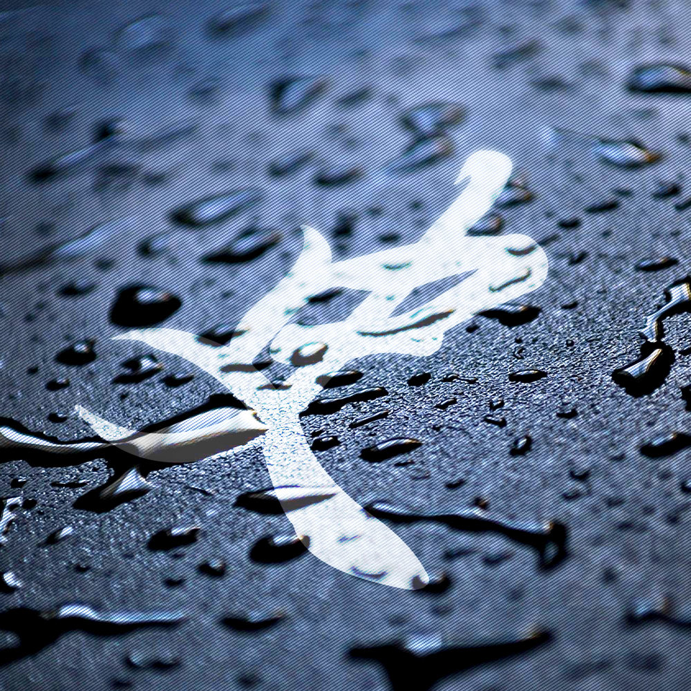 百家姓樊氏壁纸头像,百家姓微信头像壁纸