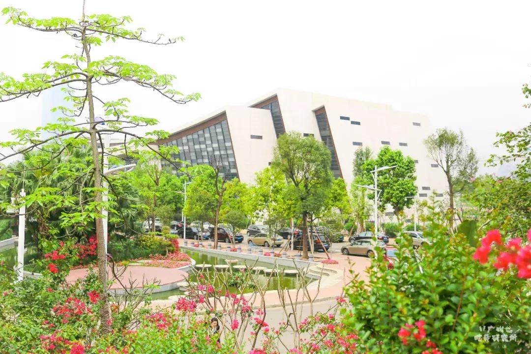 星海音乐学院伙食,星海音乐学院饭堂贵不贵