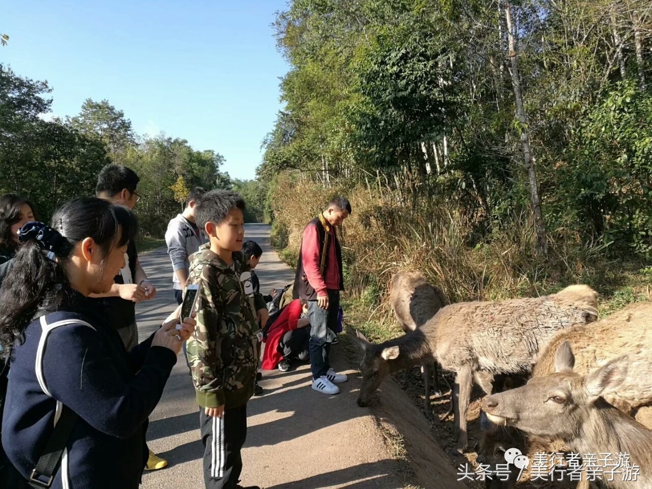 到版纳一定要体验一场泼水狂欢,云南景洪泼水节之旅