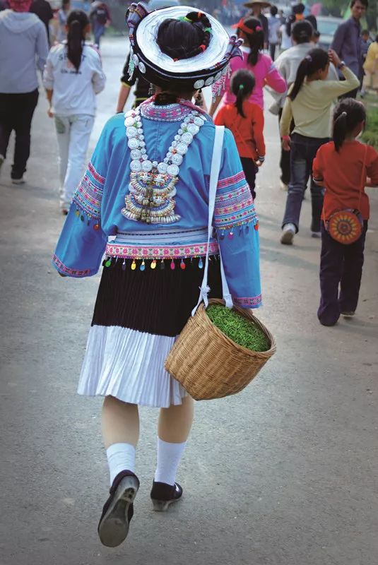 四月寻茶|除了云南普洱、西湖龙井，别小看贵州的这八道茶！