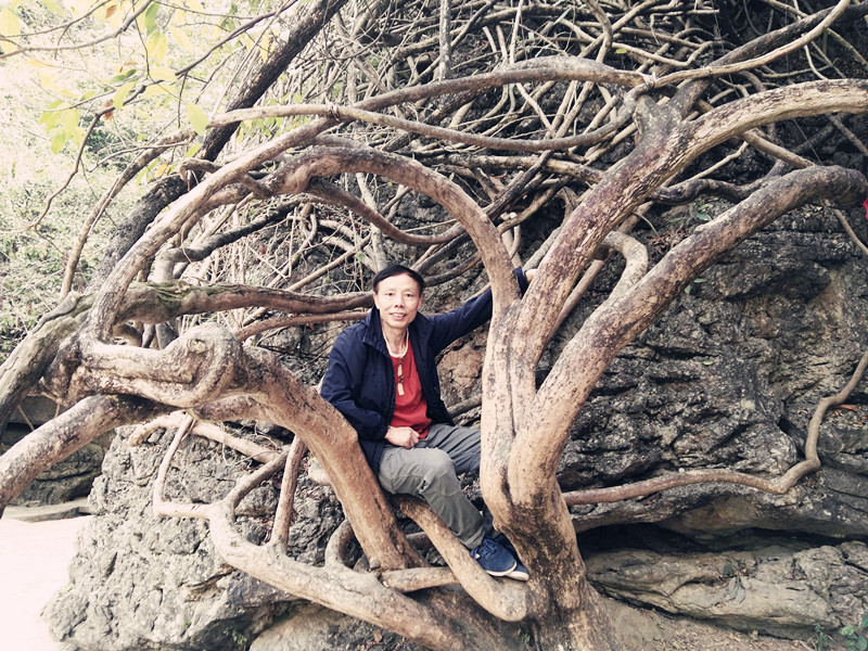 黄果树壮丽加天星桥精致繁复再加上陡坡塘的清雅成就完美布局