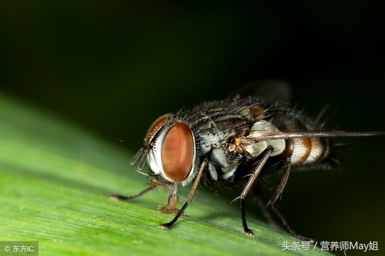 如何治疗一岁宝宝流鼻涕,如何教孩子处理鼻涕