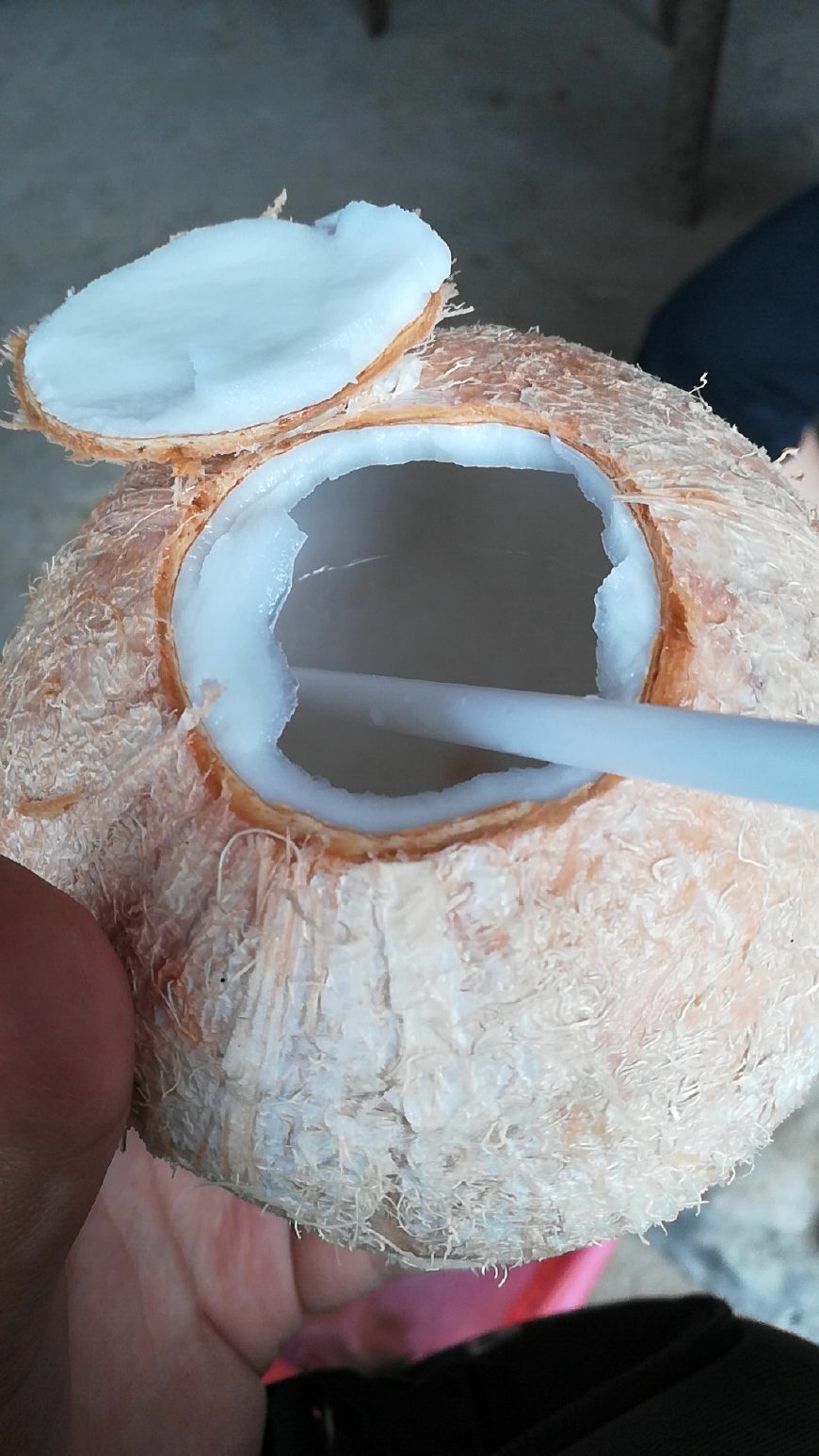 越南芽庄旅游骗局曝光,越南芽庄旅游团骗局