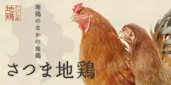 震惊！这群人竟然生吃鸡肉！
