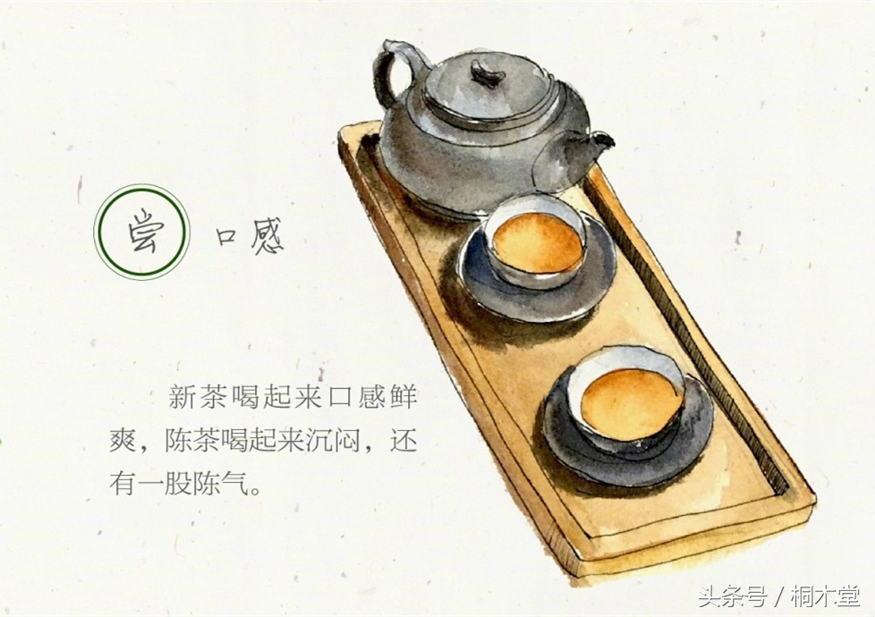 一张图读懂各种茶具,一张品茶实用图