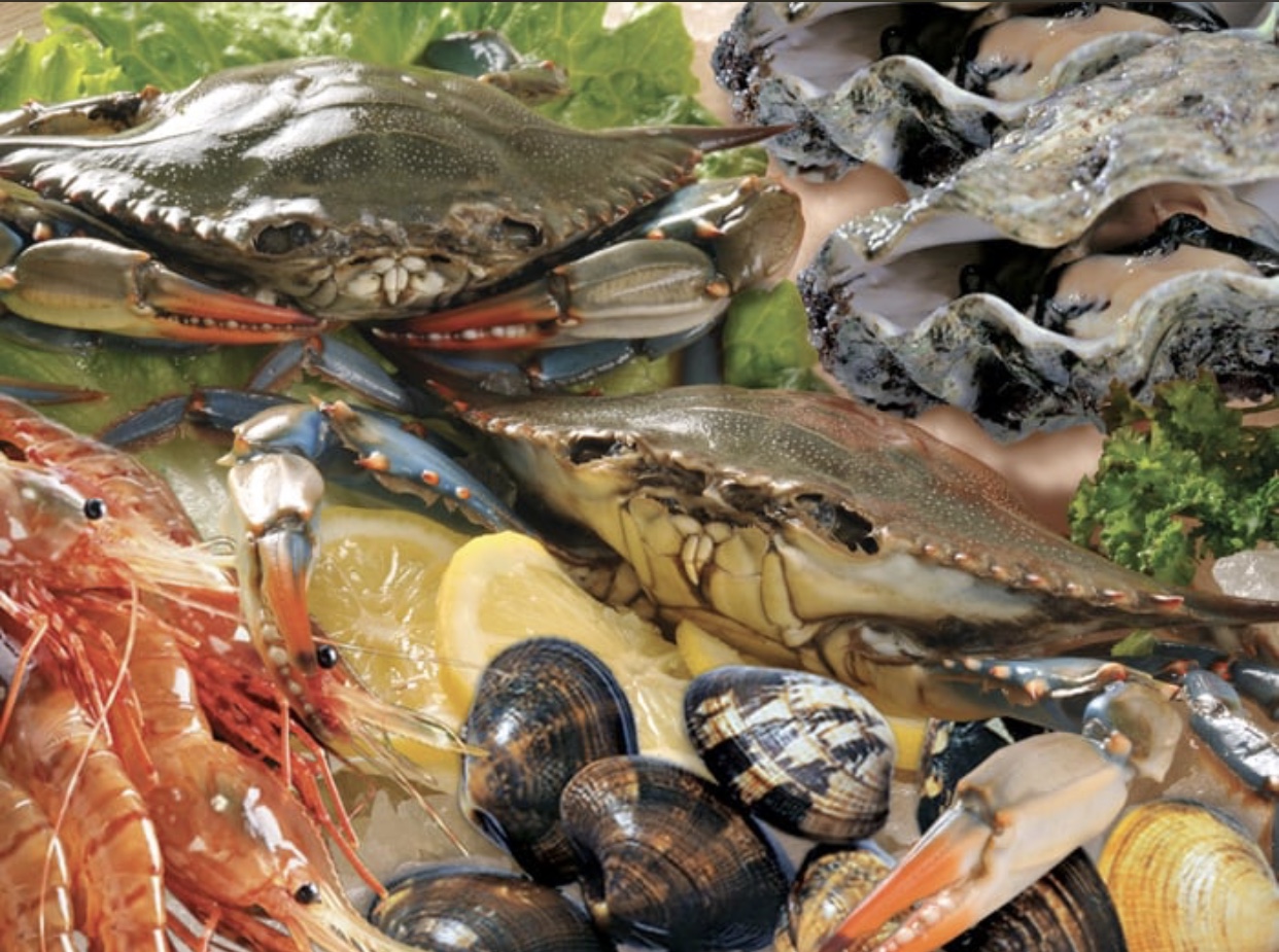 从复旦到美国：在外过得好不好，中国人的胃知道