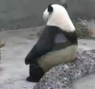 只涂防晒需要妆前护肤吗,只涂了防晒需要卸妆吗