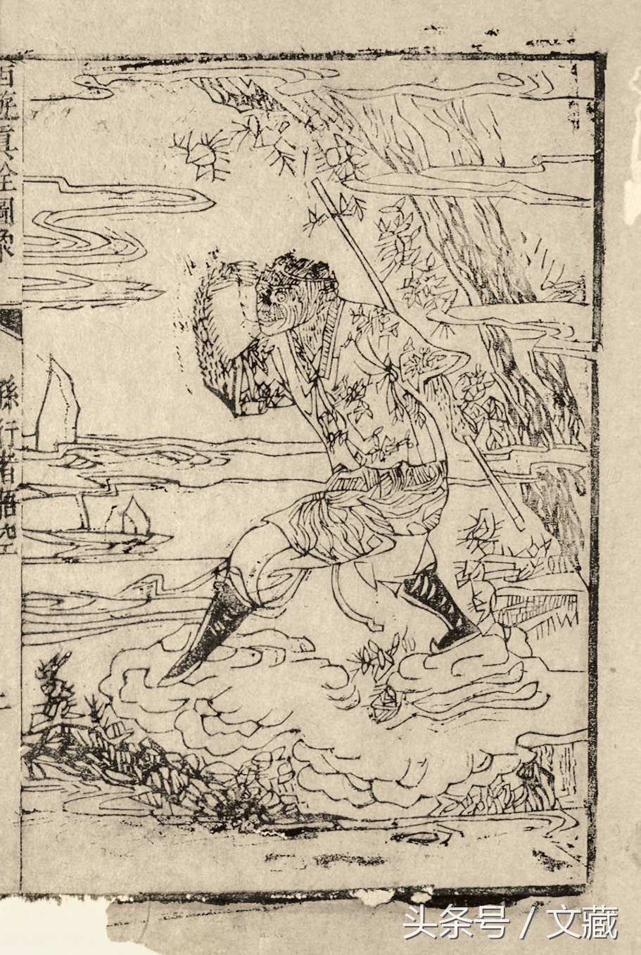 有用而鄙贱，无用而高贵——猴与猿的迥异待遇