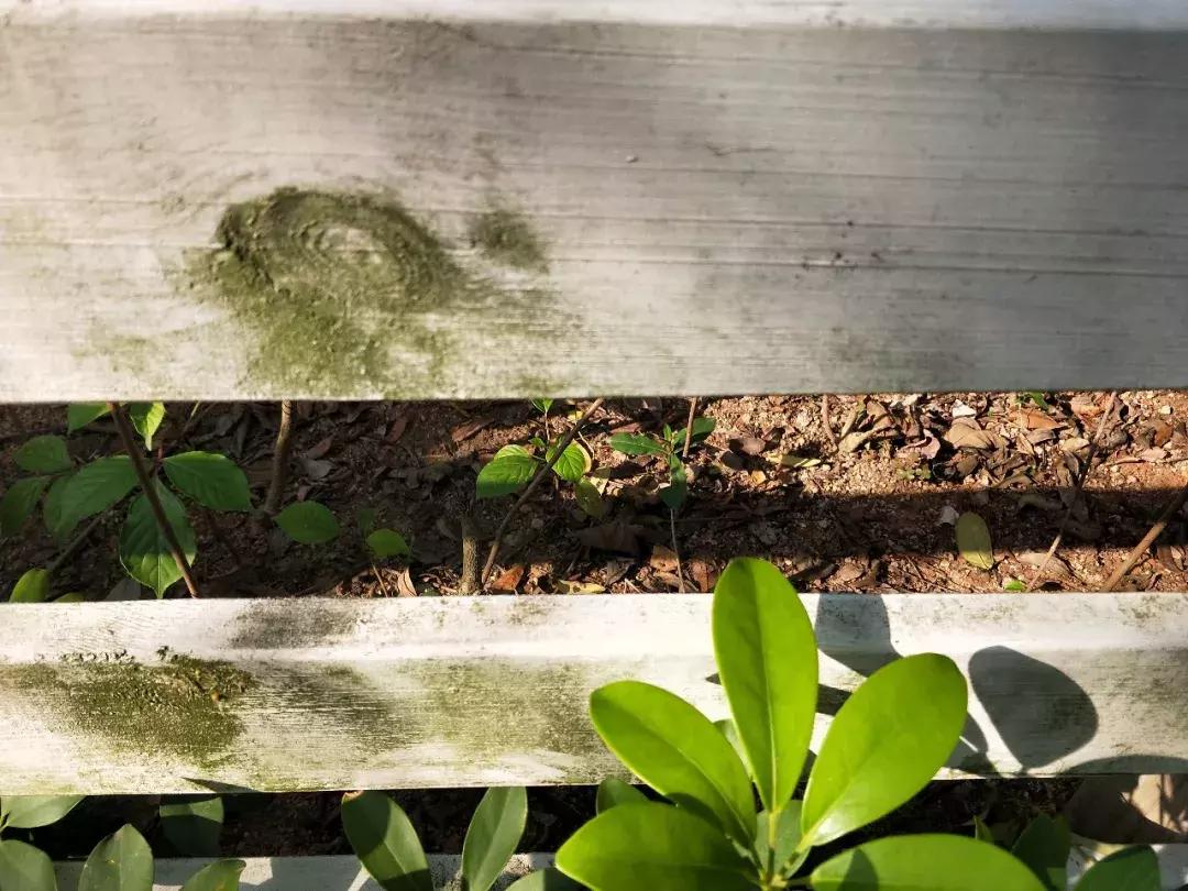 你对世界的态度取决于思想的高度,你如何看待世界取决于你的心态